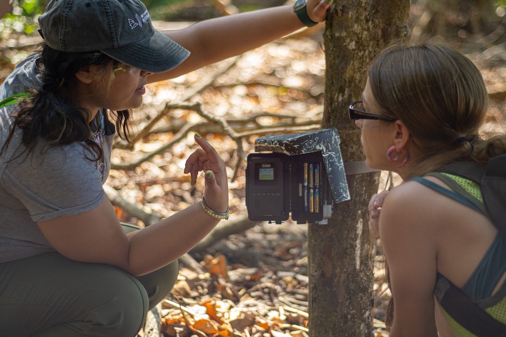 Two females checking talking by a tree