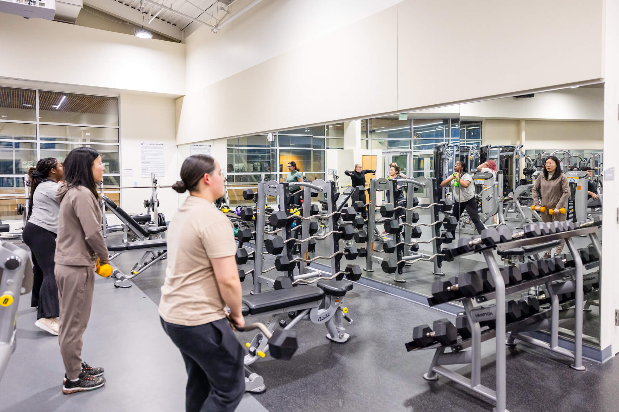 Women working out in the gym