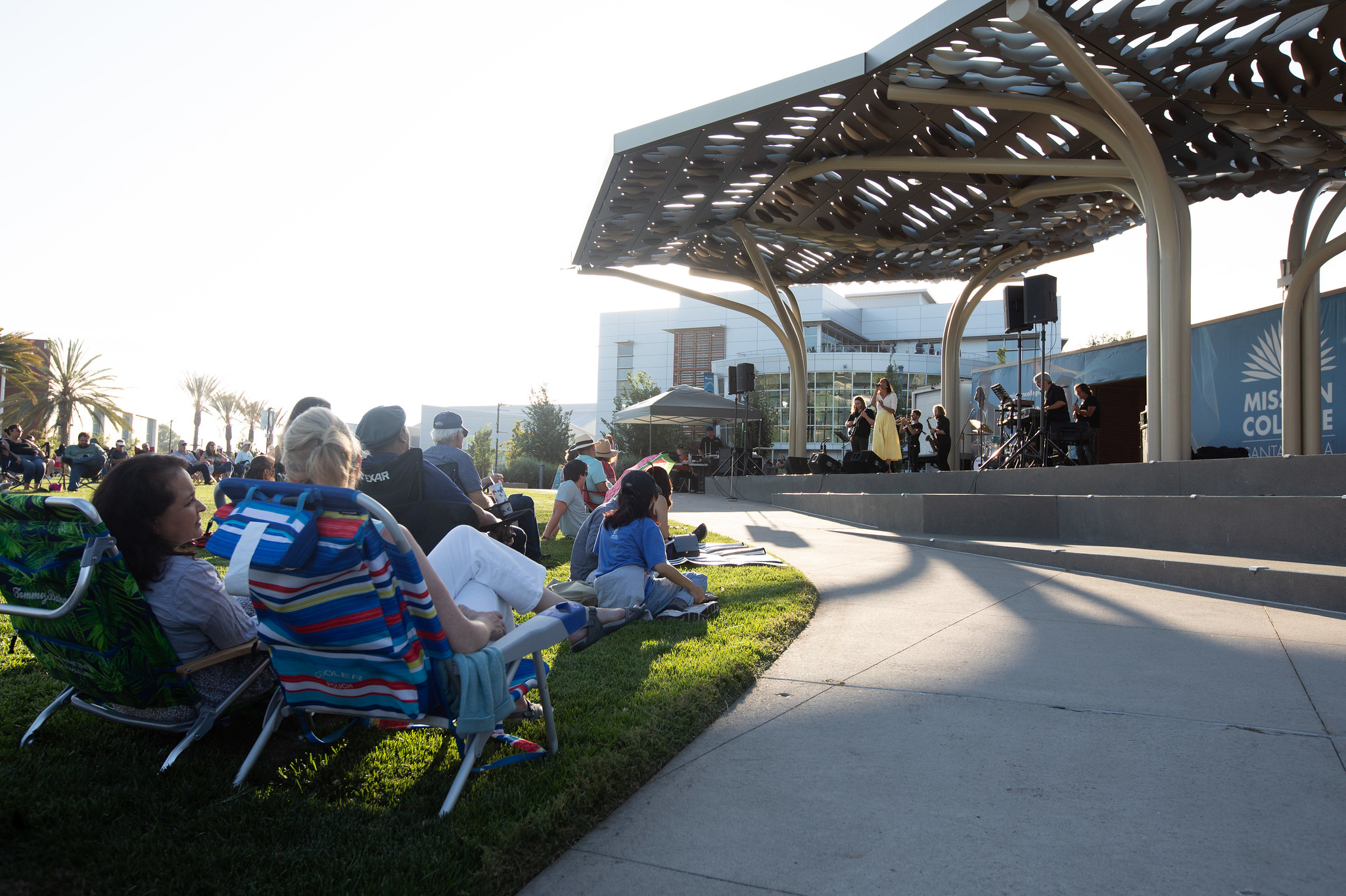 People on lawn watching concert