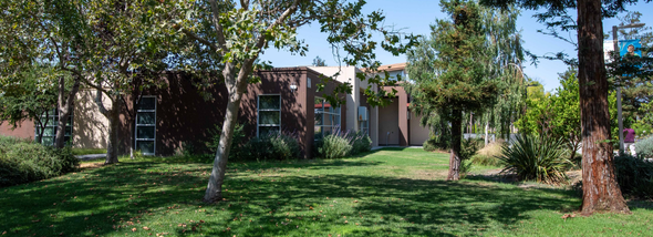Building surrounded by trees