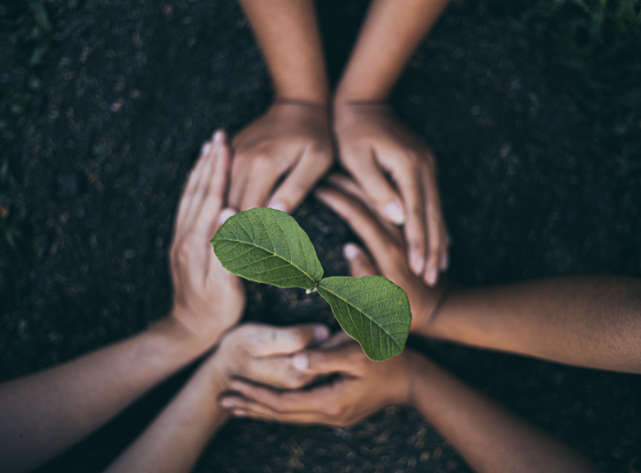 Students working in a classroom