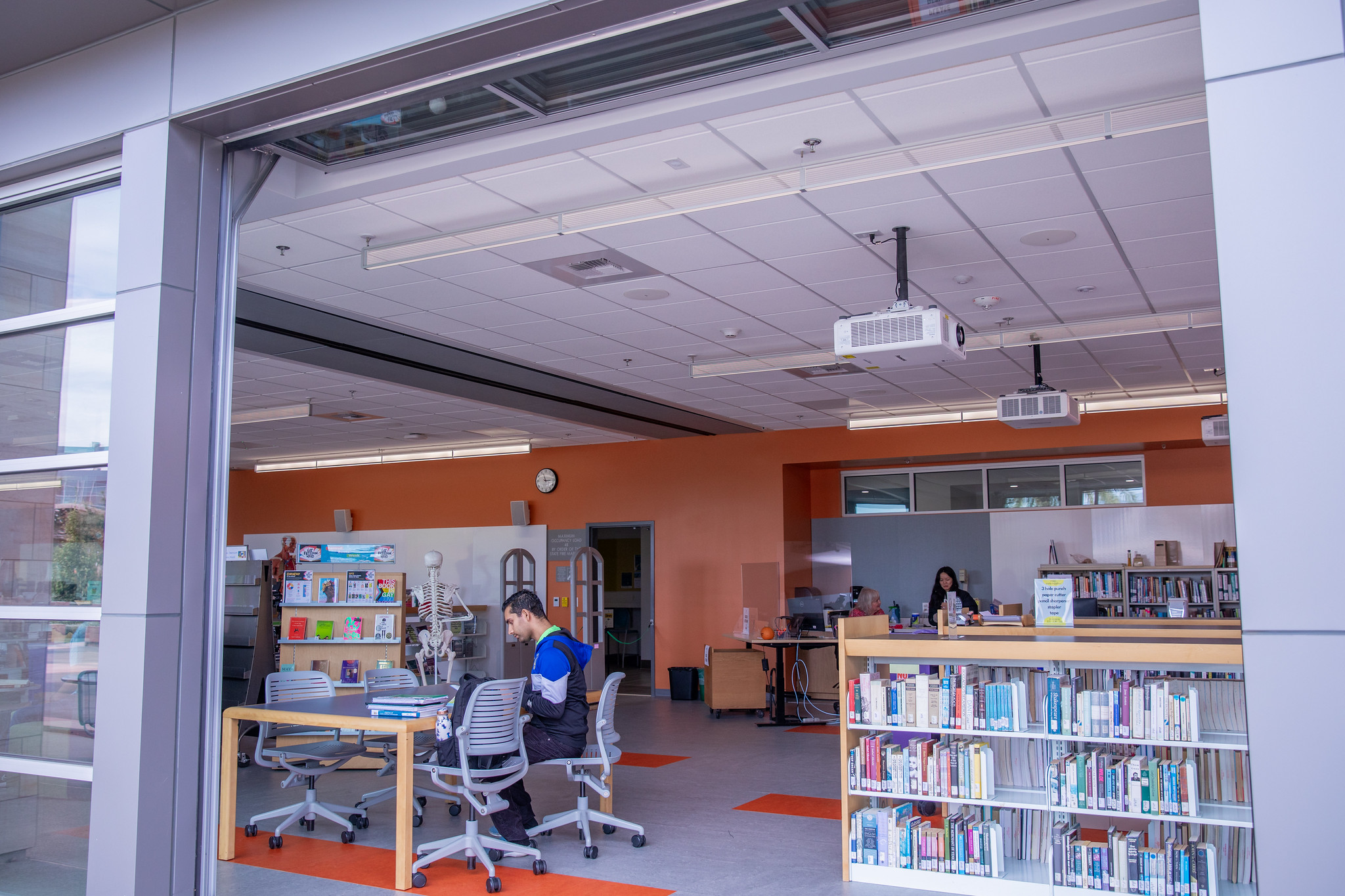 Person in the library