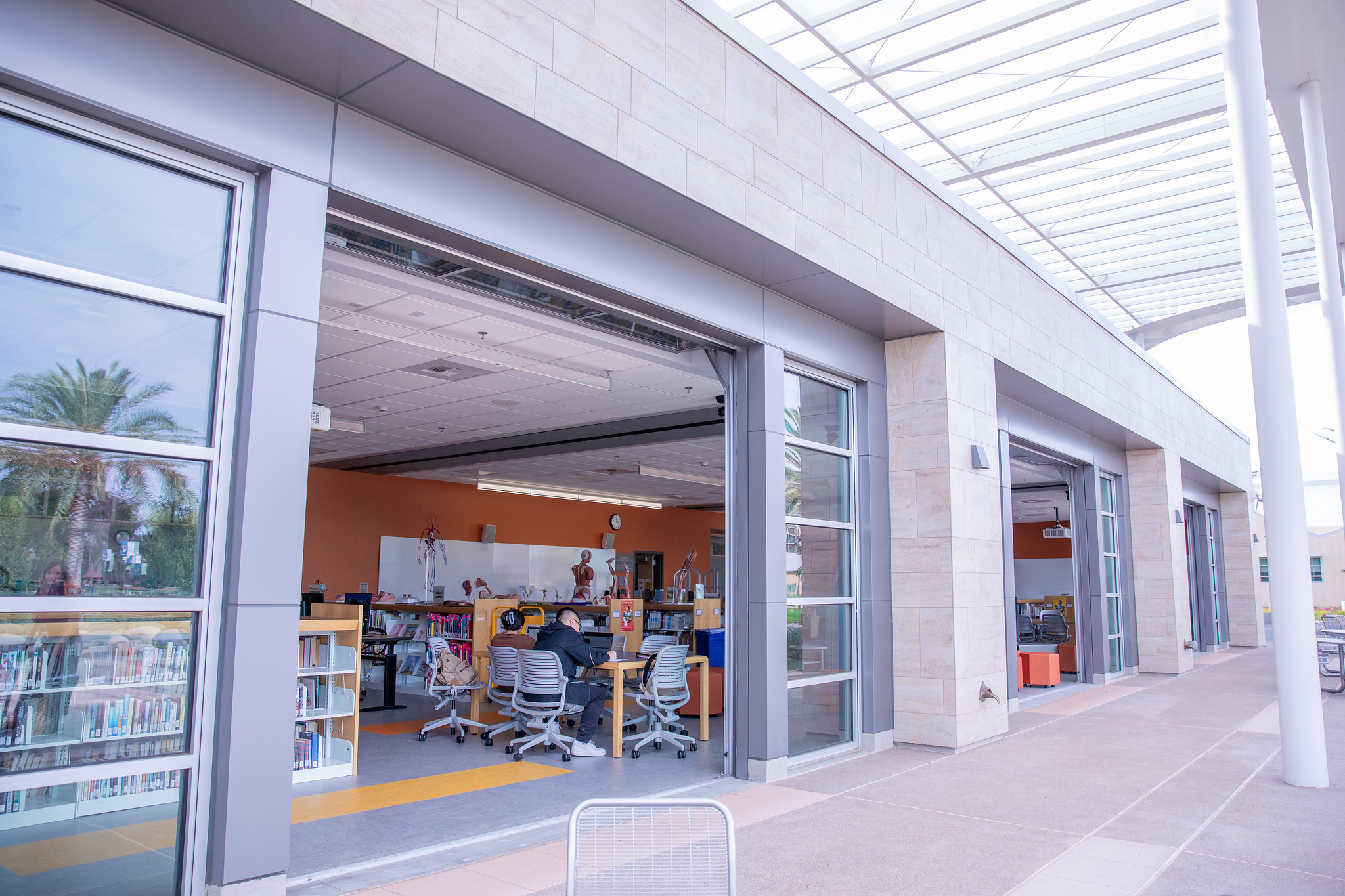 People in the library