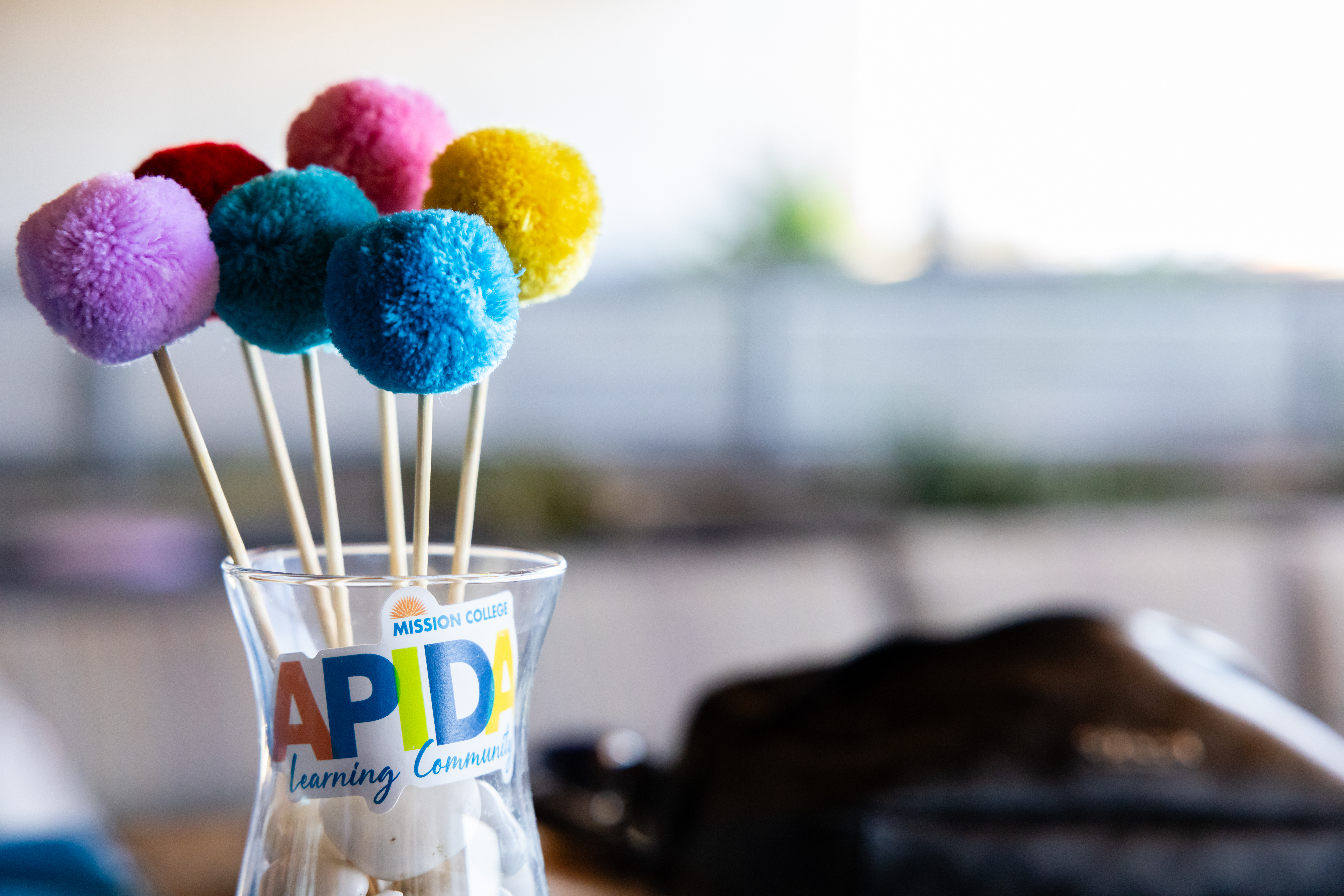 APIDA logo in vase